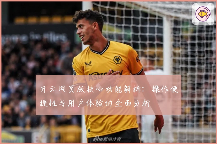 开云网页版核心功能解析：操作便捷性与用户体验的全面分析